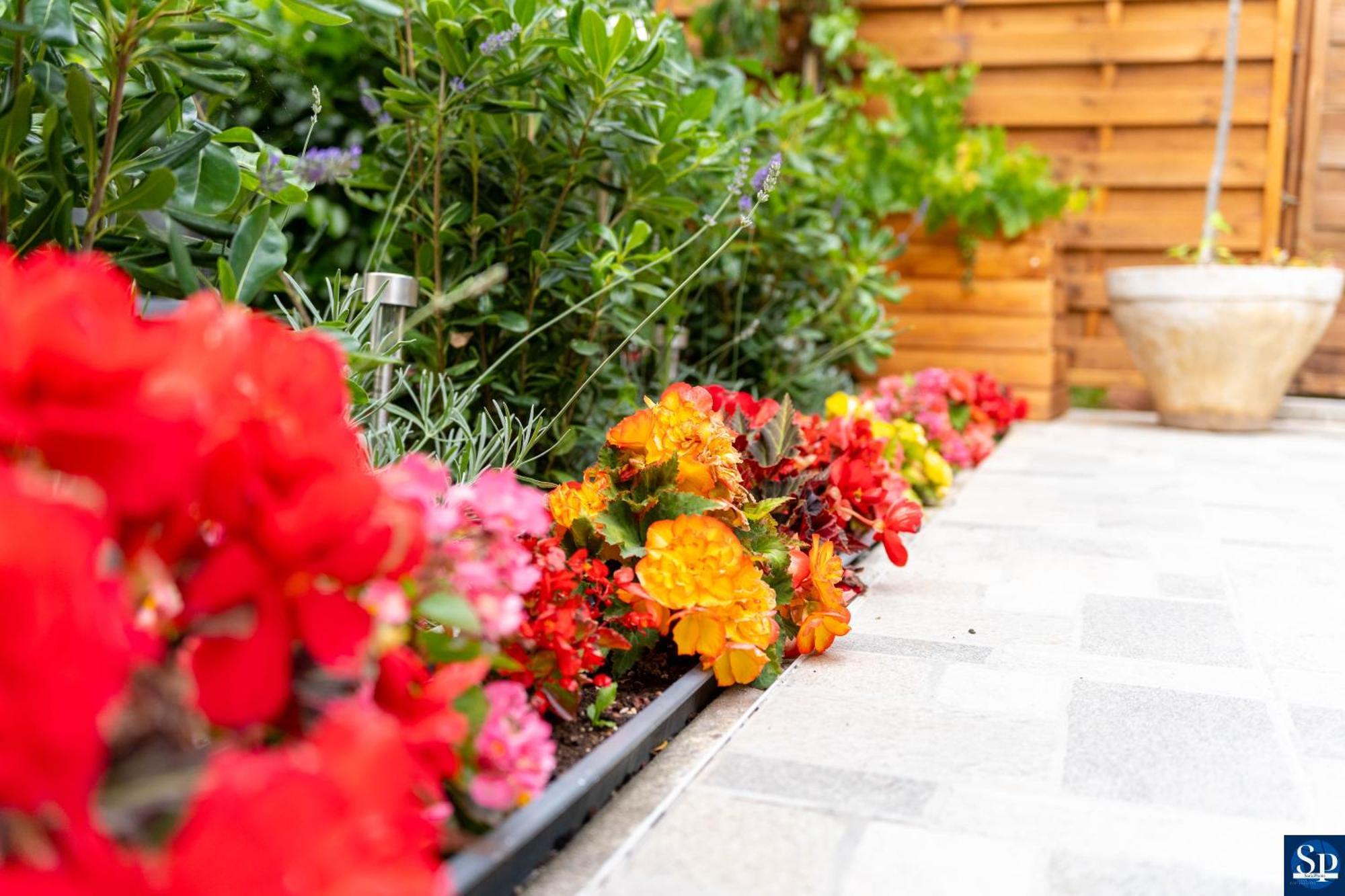 Colosseum Garden Studio Apartments Пула Екстериор снимка